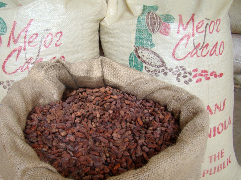 Limpieza y almacenaje