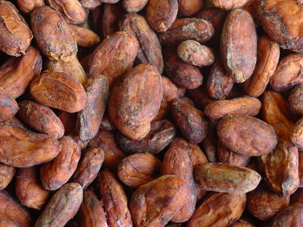 Nuestro cacao
